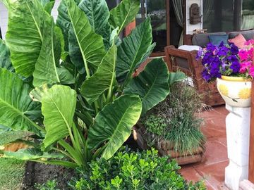 Casa en Venta en km. 2,5 Lo Orozco