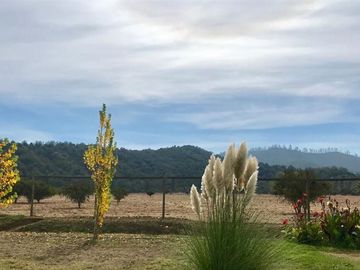 Parcela en Venta en km. 2,5 Lo Orozco