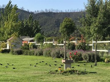 Parcela en Venta en km. 2,5 Lo Orozco