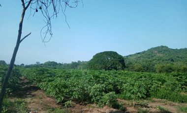 HECTAREAS EN VENTA