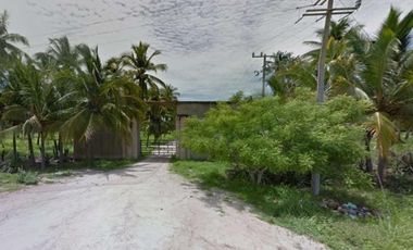 LOTE BARRA COLIMILLA