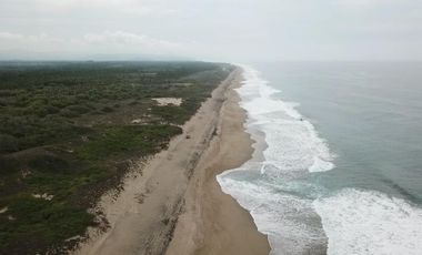 LOTE BARRA COLIMILLA