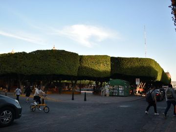 Casa Venta Centro Histórico Querétaro