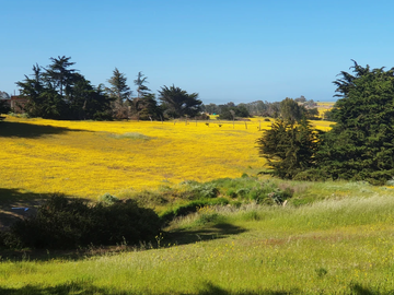 Sitio en Venta en PUNTA DE LOBOS-PICHILEMU