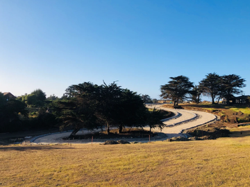 Sitio en Venta en PUNTA DE LOBOS-PICHILEMU