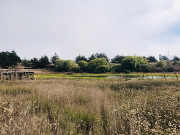 Sitio en Venta en PUNTA DE LOBOS-PICHILEMU