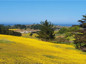 Sitio en Venta en PUNTA DE LOBOS-PICHILEMU