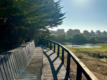 Sitio en Venta en PUNTA DE LOBOS-PICHILEMU
