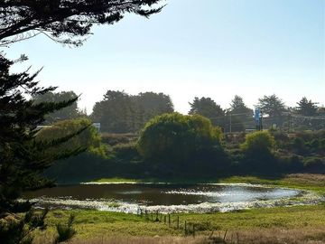 Sitio en Venta en PUNTA DE LOBOS-PICHILEMU