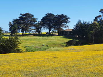 Sitio en Venta en PUNTA DE LOBOS-PICHILEMU