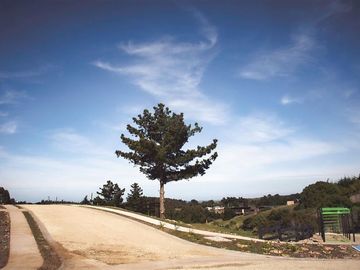Sitio en Venta en PUNTA DE LOBOS-PICHILEMU