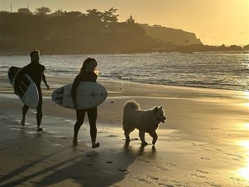 Sitio en Venta en PUNTA DE LOBOS-PICHILEMU