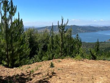 Parcela en Venta en LAGO VICHUQUEN - CULENMAPU