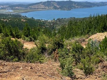 Parcela en Venta en LAGO VICHUQUEN - CULENMAPU