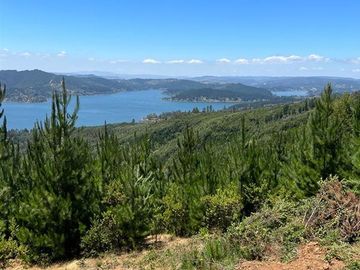 Parcela en Venta en LAGO VICHUQUEN - CULENMAPU