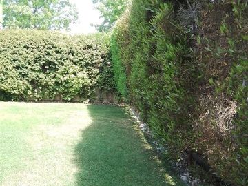 Casa en Venta en MATIAS COUSIÑO /ALTOS DEL PARQUE