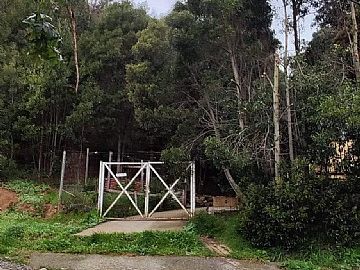 SE VENDE CASA EN CONSTITUCIÓN