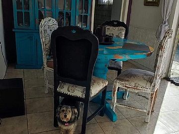 SE VENDE O ARRIENDA  CASA EN CONSTITUCIÓN