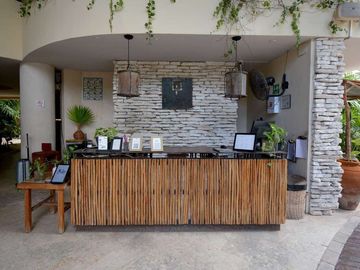 ESTUDIO AMPLIO Y MODERNO EN EL CORAZÓN DE TULUM