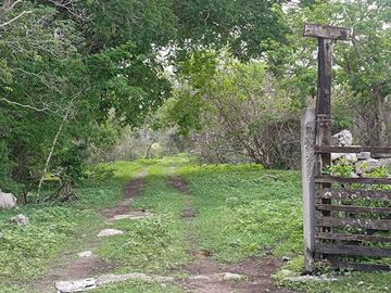 Terreno de 297 Hectáreas carretera  Tetiz - Celestún