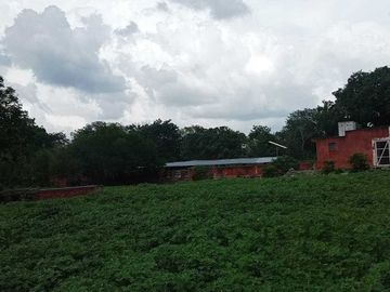 Terreno de 297 Hectáreas carretera  Tetiz - Celestún