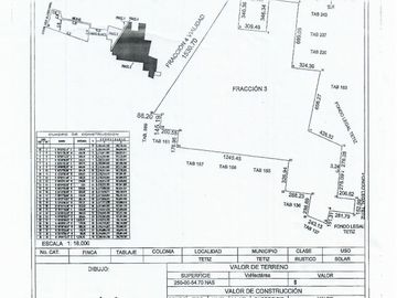 Terreno de 250 Hectáreas carretera Tetiz- Celestún