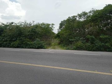 Terreno de 3.4 Hectáreas sobre Carretera Tetiz-Celestun