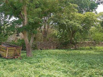 Terreno de 3.4 Hectáreas sobre Carretera Tetiz-Celestun