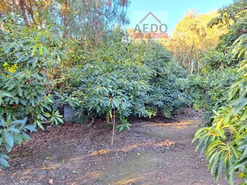 Se vende Terreno de 3000 m2 con casa, comuna de La Calera