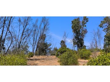 ¡OPORTUNIDAD! PARCELA DE 5.000 M2 VALLE VERDE MAR - QUILPUÉ