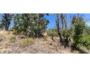 ¡OPORTUNIDAD! PARCELA DE 5.000 M2 VALLE VERDE MAR - QUILPUÉ