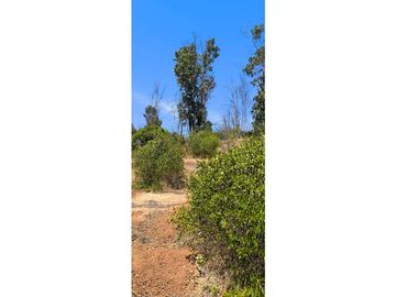 ¡OPORTUNIDAD! PARCELA DE 5.000 M2 VALLE VERDE MAR - QUILPUÉ