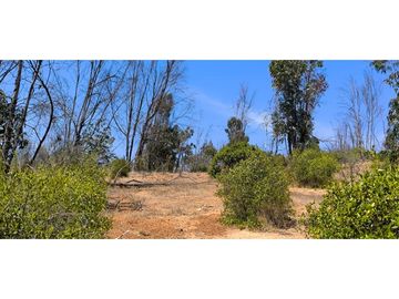 ¡OPORTUNIDAD! PARCELA DE 5.000 M2 VALLE VERDE MAR - QUILPUÉ