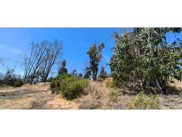 ¡OPORTUNIDAD! PARCELA DE 5.000 M2 VALLE VERDE MAR - QUILPUÉ