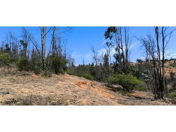 ¡OPORTUNIDAD! PARCELA DE 5.000 M2 VALLE VERDE MAR - QUILPUÉ
