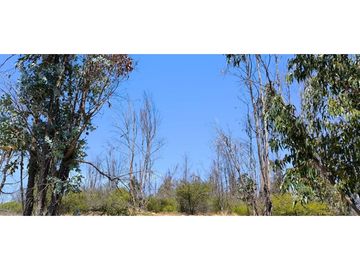 ¡OPORTUNIDAD! PARCELA DE 5.000 M2 VALLE VERDE MAR - QUILPUÉ