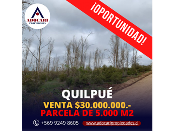 ¡OPORTUNIDAD! PARCELA DE 5.000 M2 VALLE VERDE MAR - QUILPUÉ