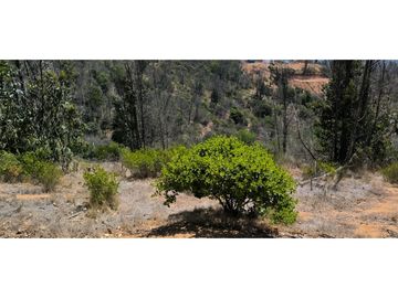 ¡OPORTUNIDAD! PARCELA DE 5.000 M2 VALLE VERDE MAR - QUILPUÉ