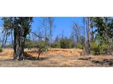 ¡OPORTUNIDAD! PARCELA DE 5.000 M2 VALLE VERDE MAR - QUILPUÉ
