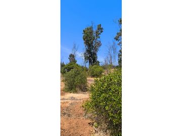 ¡OPORTUNIDAD! PARCELA DE 5.000 M2 VALLE VERDE MAR - QUILPUÉ
