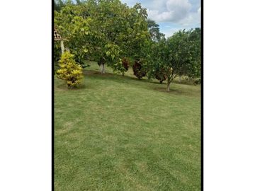 VENDO HERMOSA CASA SECTOR ALCALA