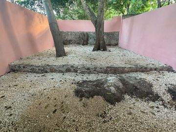 Casa  ubicada en el centro de la ciudad de Mérida,  Casa Mango