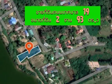 Land for sale in Chakkarat, Nakhon Ratchasima