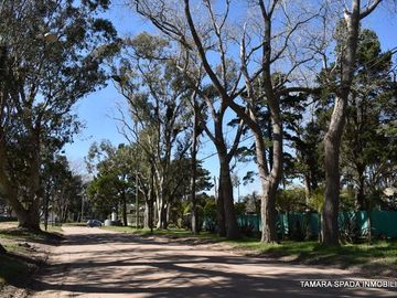 LOTE EN EL CORAZON DEL MONTE