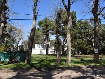 LOTE EN EL CORAZON DEL MONTE