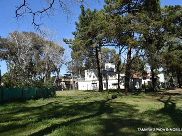 LOTE EN EL CORAZON DEL MONTE