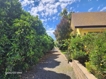 Se Vende 2,7 hectáreas, con Bella Casa y plantación de Palto