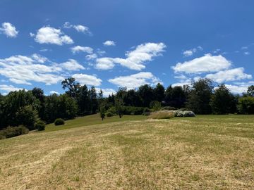 Parcela con vista al Lago a 2 minutos del Lago Ranco