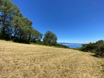 Parcela con vista al Lago a 2 minutos del Lago Ranco