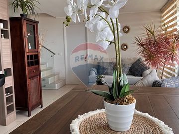 Imperdible oportunidad Departamento Dúplex